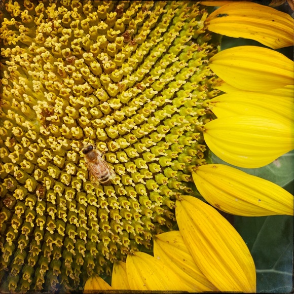 Meet your Posher, Jen - Picture 10 of 10